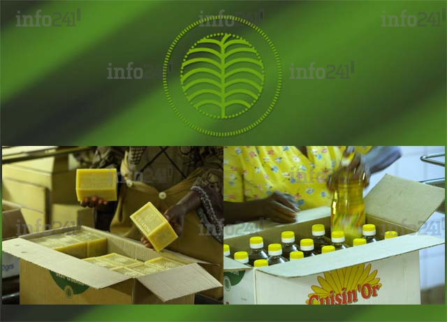 Siat Gabon enregistre une perte de plus de 5 milliards de FCFA de recettes en 2015