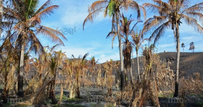 Climat&nbsp;: 1/3 de la population mondiale vivra dans des zones dangereusement chaudes d’ici 2100