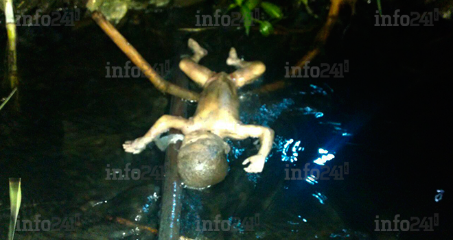 Un nourrisson retrouvé gisant-mort dans un ruisseau de Libreville