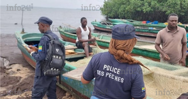 Port-Gentil&nbsp;: Vaste coup de filet contre la pêche illégale, 244 raies et une tortue verte saisies