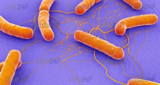 Alerte à la céréulide&nbsp;: L’Agasa rassure sur l’absence de laits infantiles contaminés au Gabon