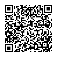 qrcode:https://www.infos.ga/les-regles-du-commerce-international-freine-l-industrialisation,1012