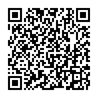 qrcode:https://www.infos.ga/owendo-plongee-dans-le-noir-la-seeg-evoque-un-cable-defectueux,11177