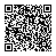 qrcode:https://www.infos.ga/presidentielle-2025-au-gabon-voici-venu-l-acer-le-gendarme-des,9887