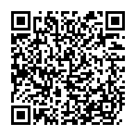 qrcode:https://www.infos.ga/grand-libreville-un-incident-sur-le-reseau-electrique-proovque,2651