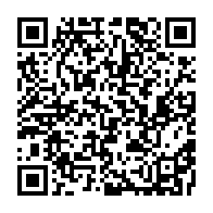 qrcode:https://www.infos.ga/france-un-fils-d-omar-bongo-se-fait-conduire-par-une-diplomate,193