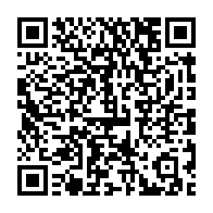 qrcode:https://www.infos.ga/des-pistes-pour-redynamiser-le-secteur-de-la-securite-dans-les,5317