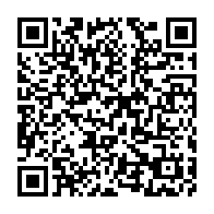 qrcode:https://www.infos.ga/flash-player-faut-il-craindre-pour-la-securite-de-son-ordinateur,1133