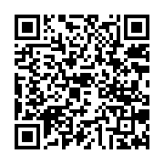 qrcode:https://www.infos.ga/niger-sans-surprise-la-france-apporte-son-plein-soutien-a-l,1834