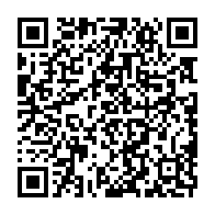 qrcode:https://www.infos.ga/chr-de-port-gentil-un-scanner-flambant-neuf-mais-la-neonatologie,11251