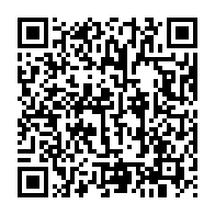 qrcode:https://www.infos.ga/grand-libreville-les-navires-electriques-flottants-karpowership,10702