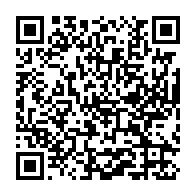 qrcode:https://www.infos.ga/presidentielle-2023-rio-noir-de-monde-pour-le-premier-grand,8147