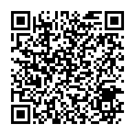 qrcode:https://www.infos.ga/crash-d-ethiopian-airlines-un-celebre-arbitre-gabonais-echappe,4273